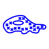 cell motility - CYTENA - CYTENA