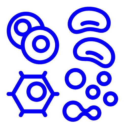 Drug discovery and development - CYTENA - CYTENA