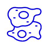 mitosis assays - CYTENA - CYTENA