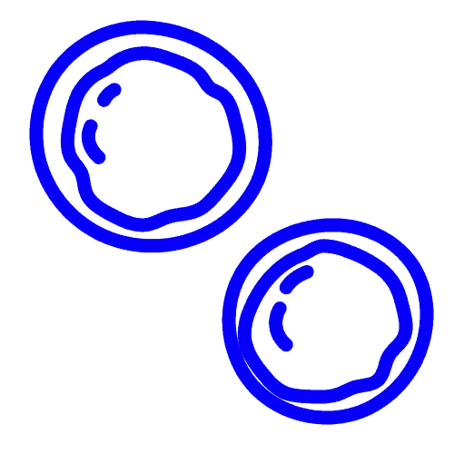 Stem cell Cell therapy - CYTENA - CYTENA