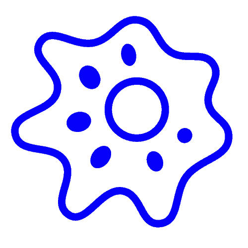 Transfection efficiency - CYTENA - CYTENA